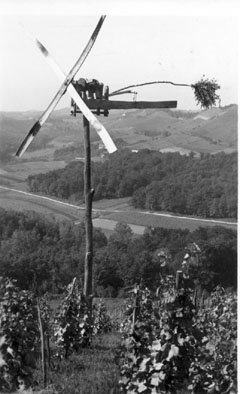 eika image